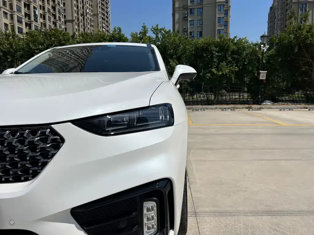 Wey VV7 New Energy 2021 из CN, фото 5