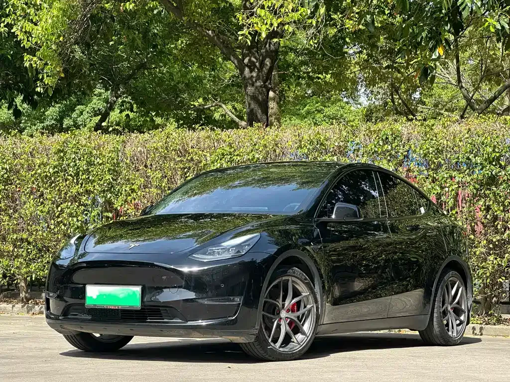 Tesla Model Y 2021 из CN, фото 1