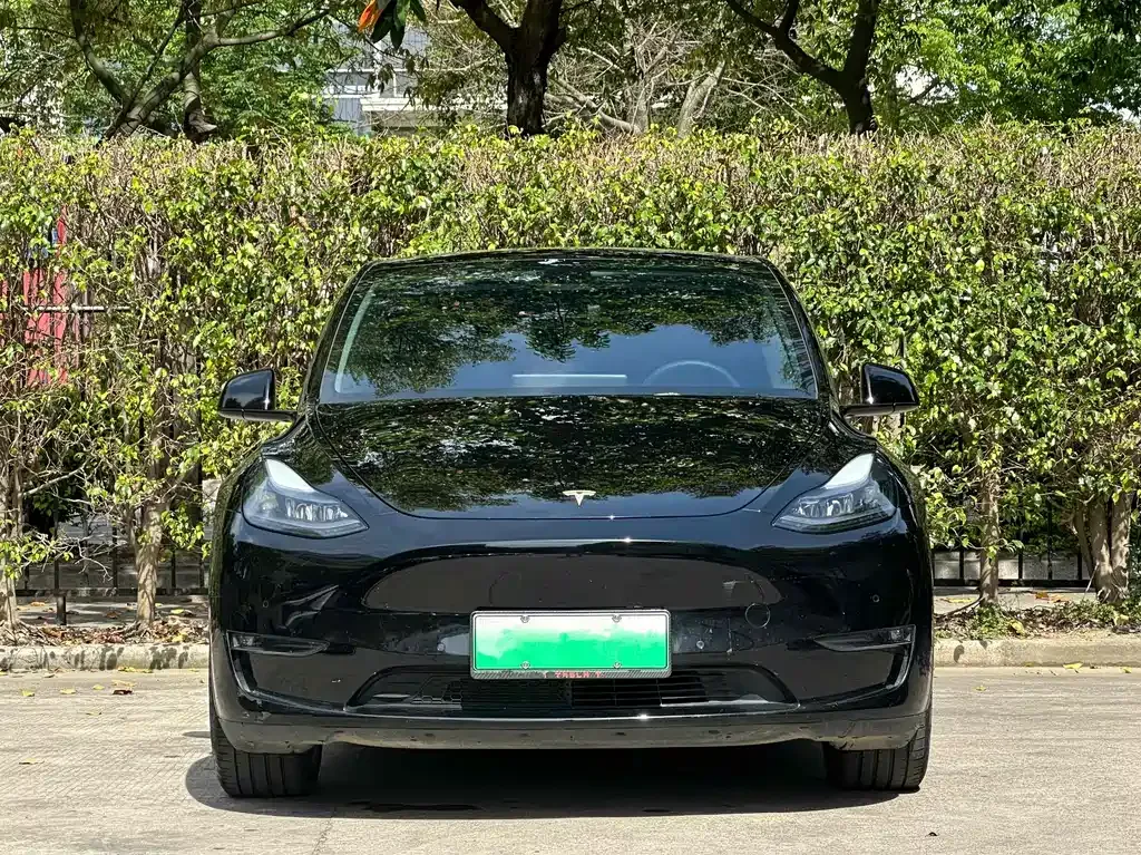 Tesla Model Y 2021 из CN, фото 8