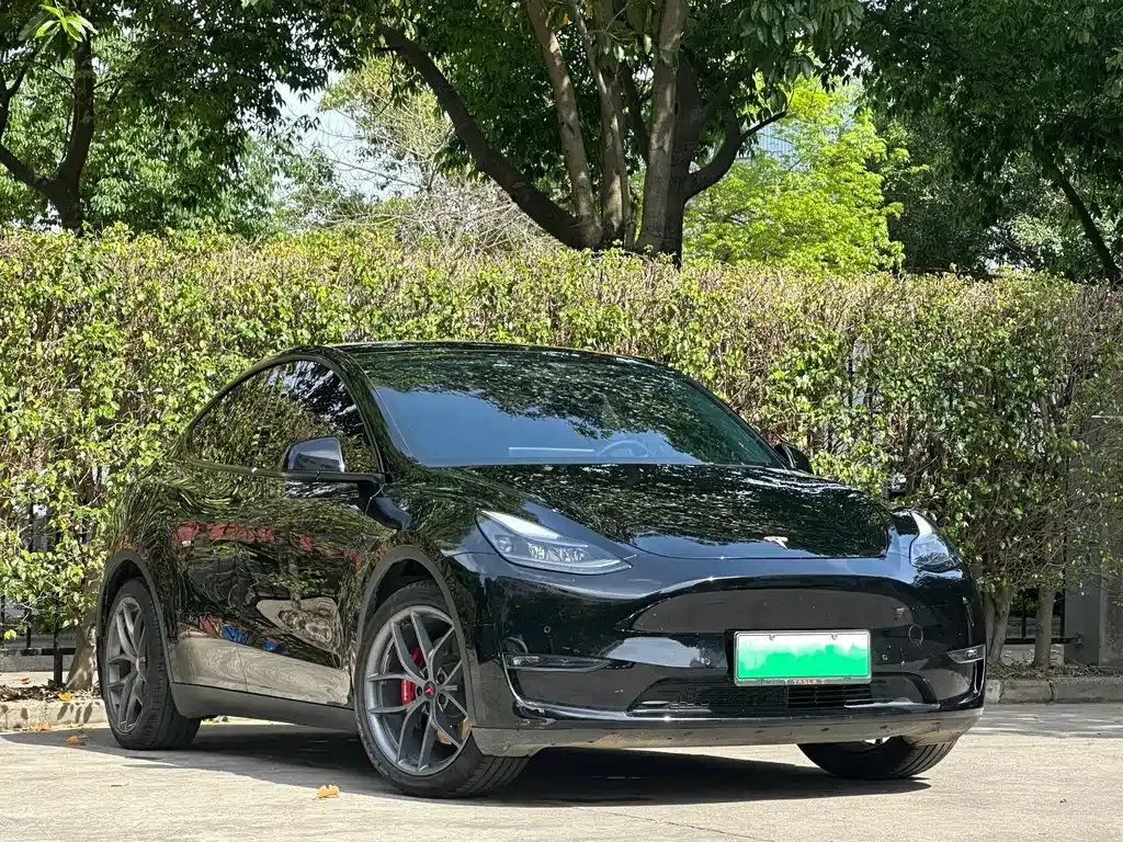 Tesla Model Y 2021 из CN, фото 5