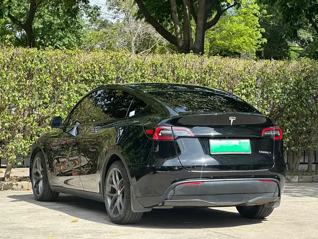 Tesla Model Y 2021 из CN, фото 6