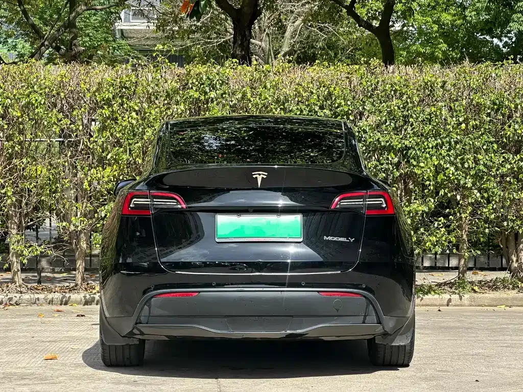 Tesla Model Y 2021 из CN, фото 9