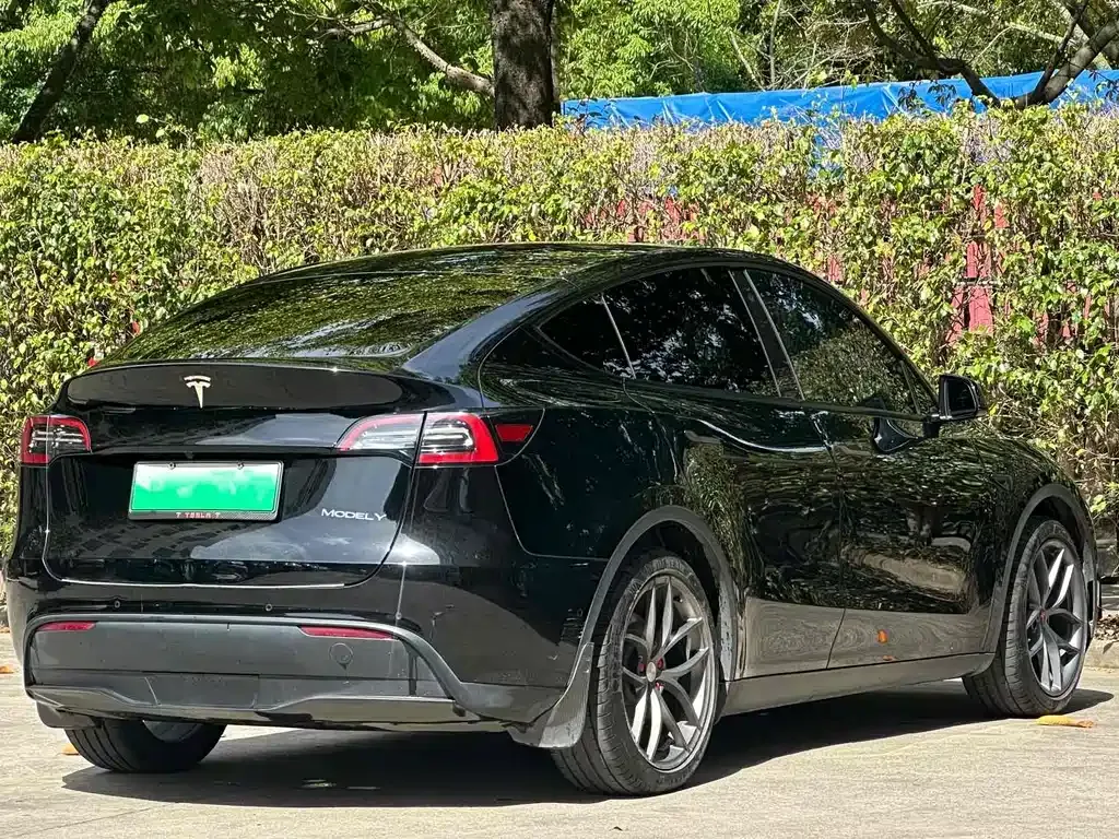 Tesla Model Y 2021 из CN, фото 4