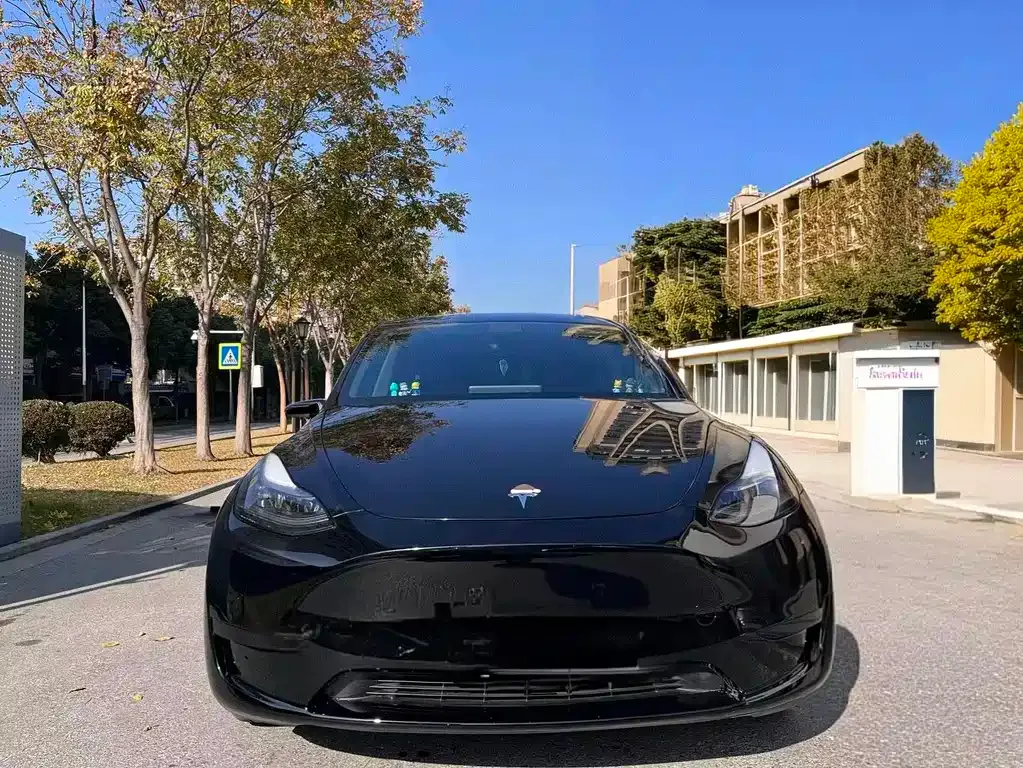 Tesla Model Y — фото 7