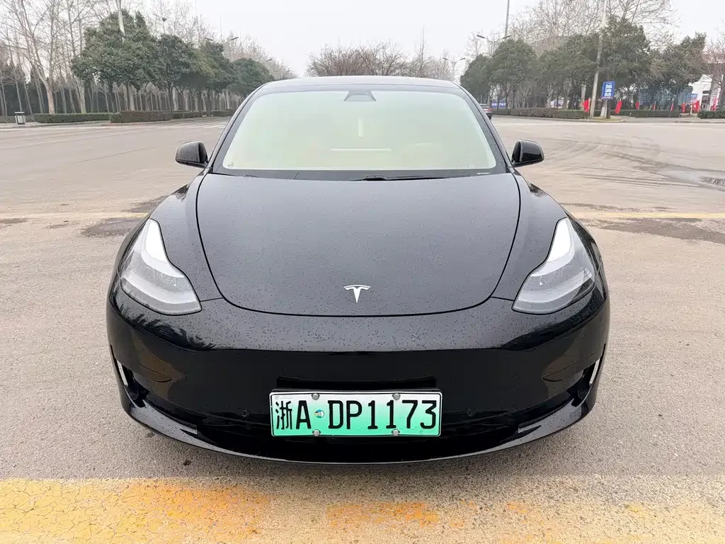 Tesla Model 3 — фото 2