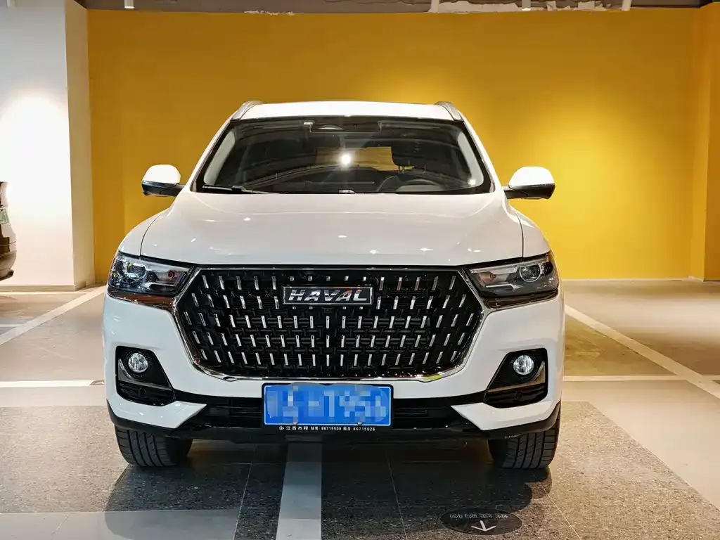 Haval H6 2024 из CN, фото 2
