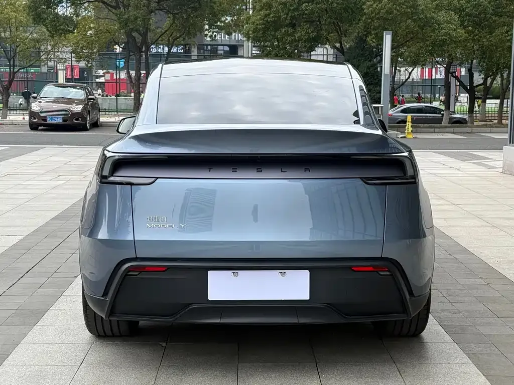 Tesla Model Y — фото 10