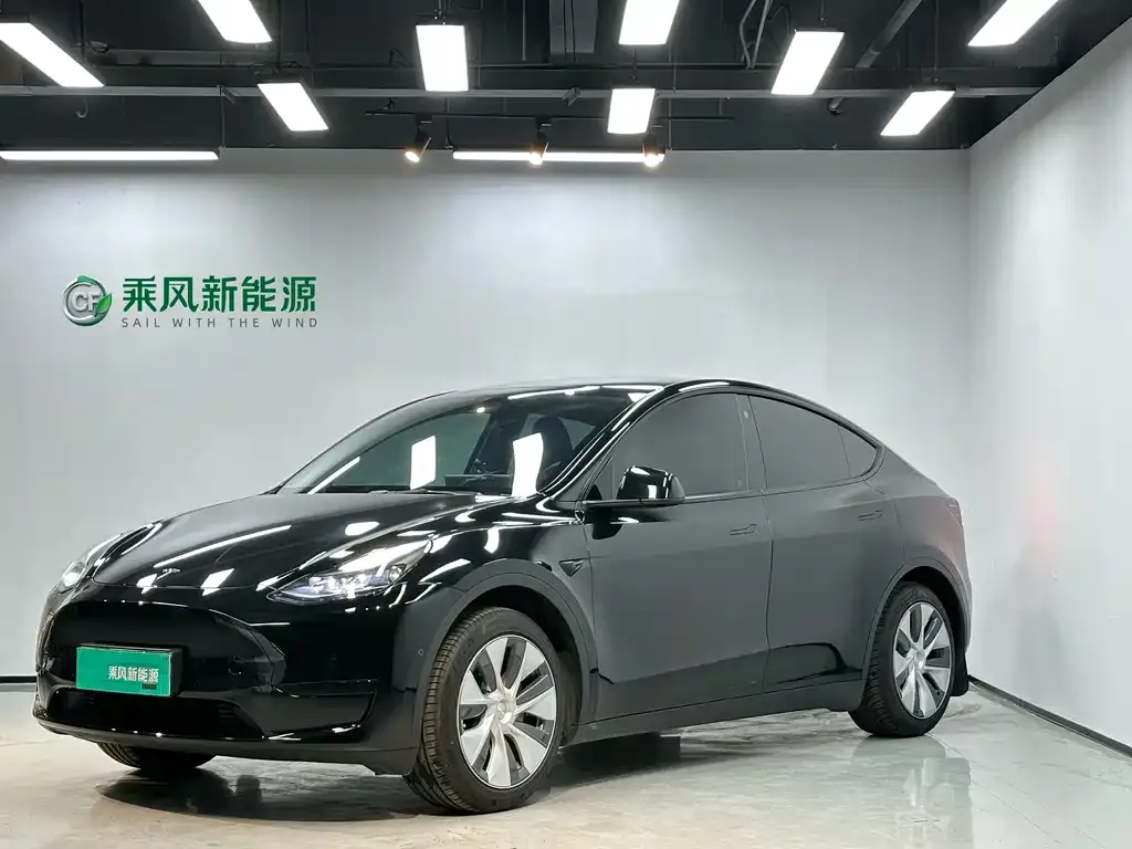 Tesla Model Y — фото 3