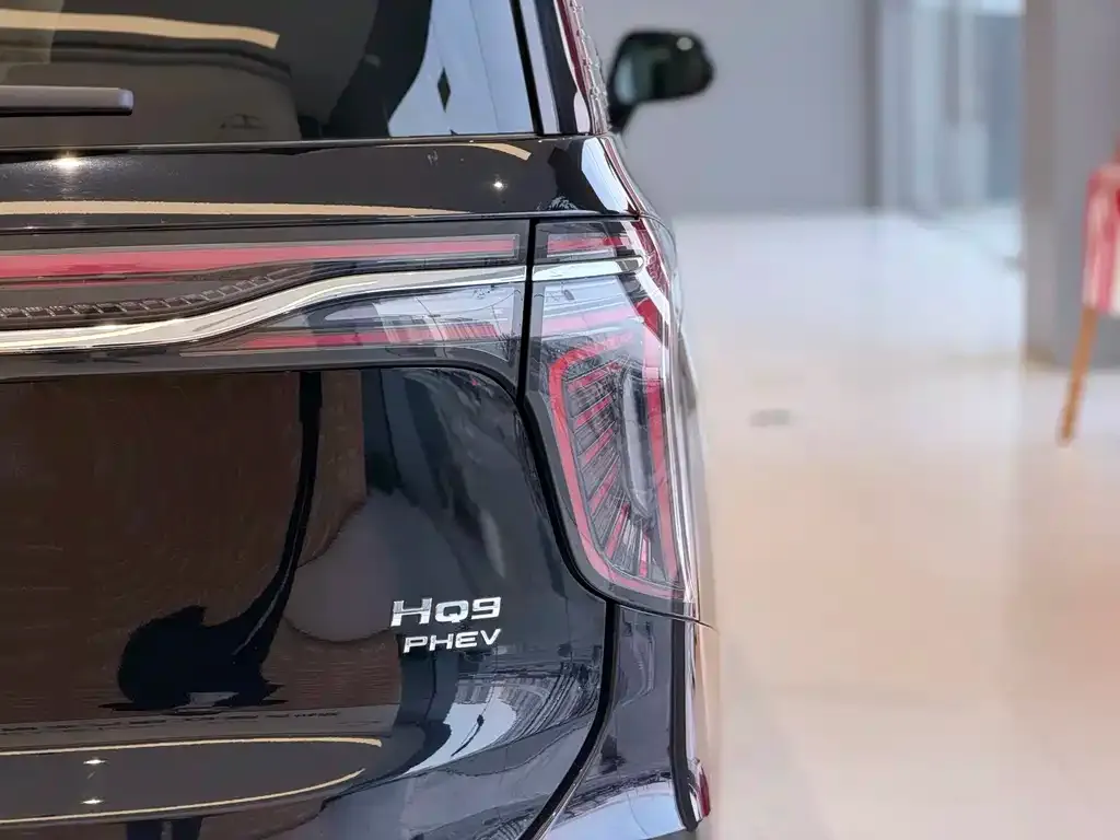 Hongqi HQ9 PHEV 2024 из CN, фото 2
