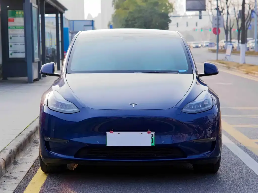 Tesla Model Y — фото 9