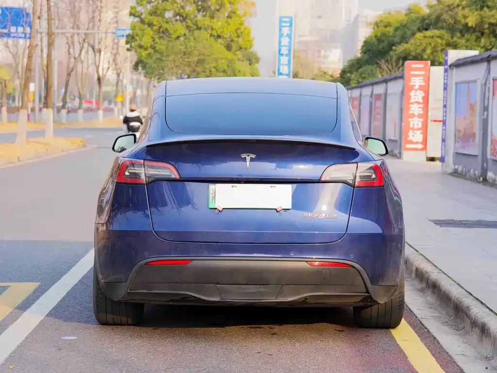 Tesla Model Y — фото 8