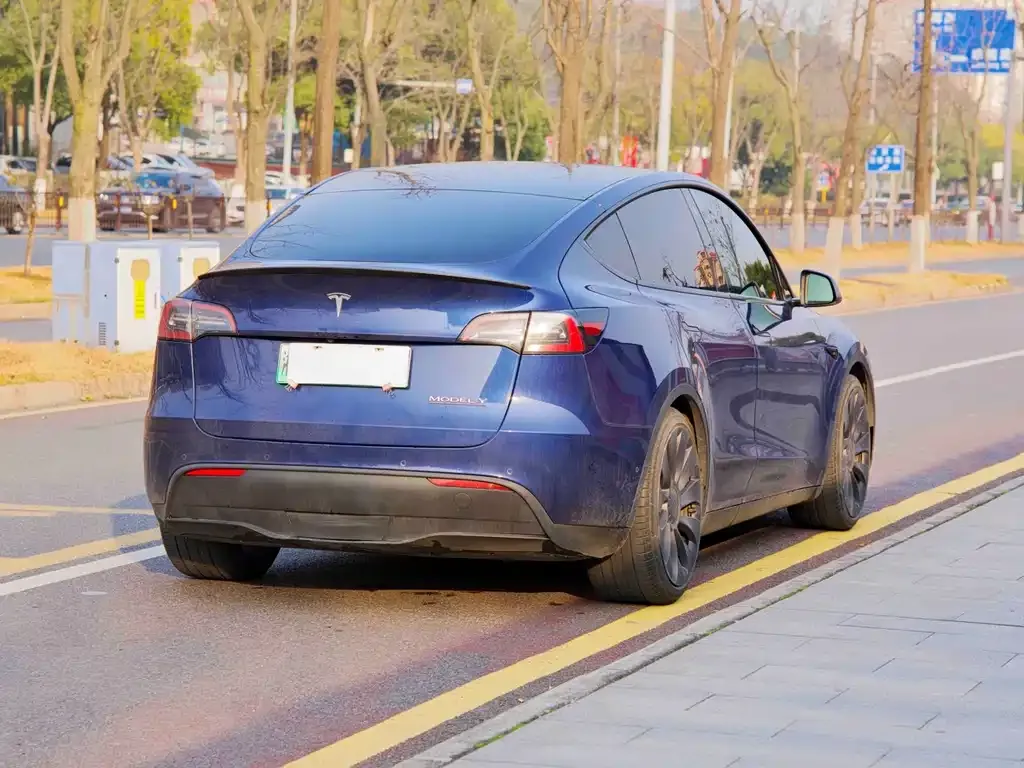 Tesla Model Y — фото 6