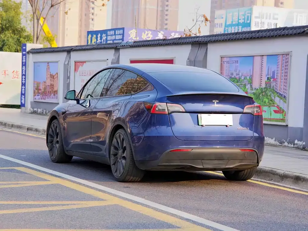 Tesla Model Y — фото 10