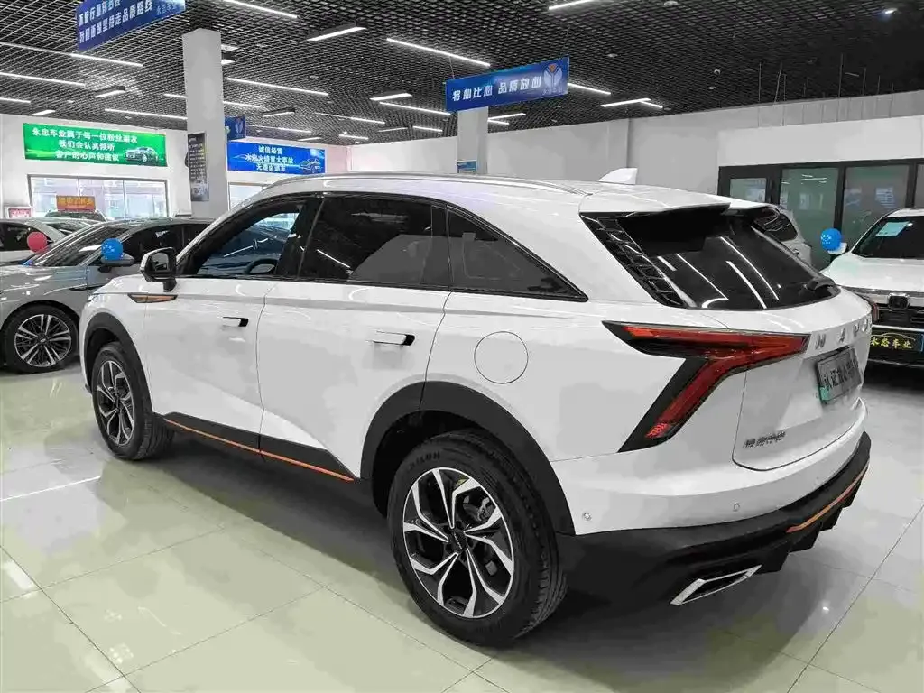 Haval Shenshou 2022 из CN, фото 9