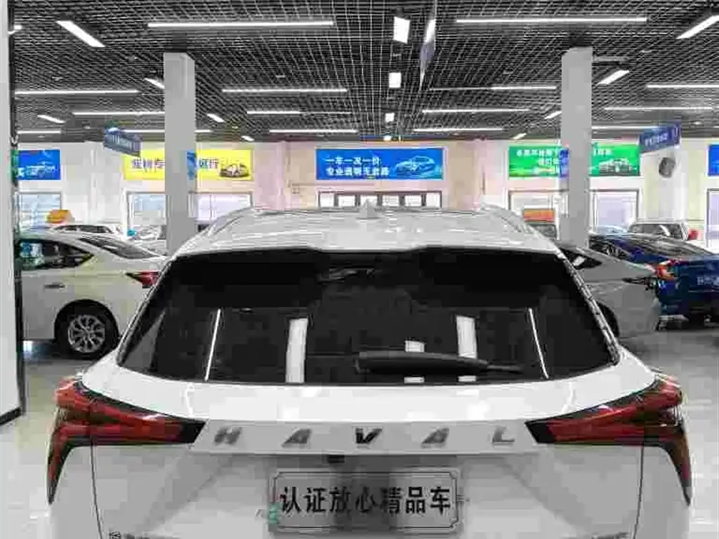 Haval Shenshou 2022 из CN, фото 4