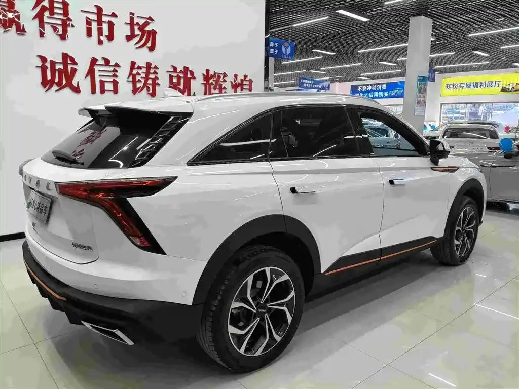 Haval Shenshou 2022 из CN, фото 8
