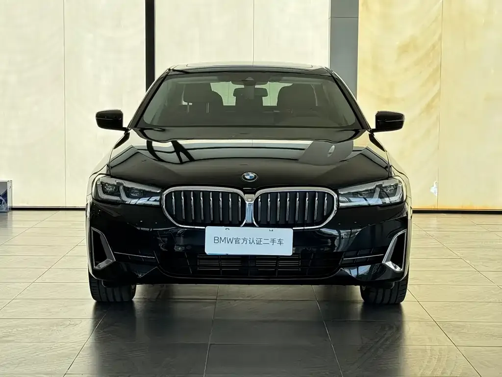 BMW 5 Series 2024 из CN, фото 10