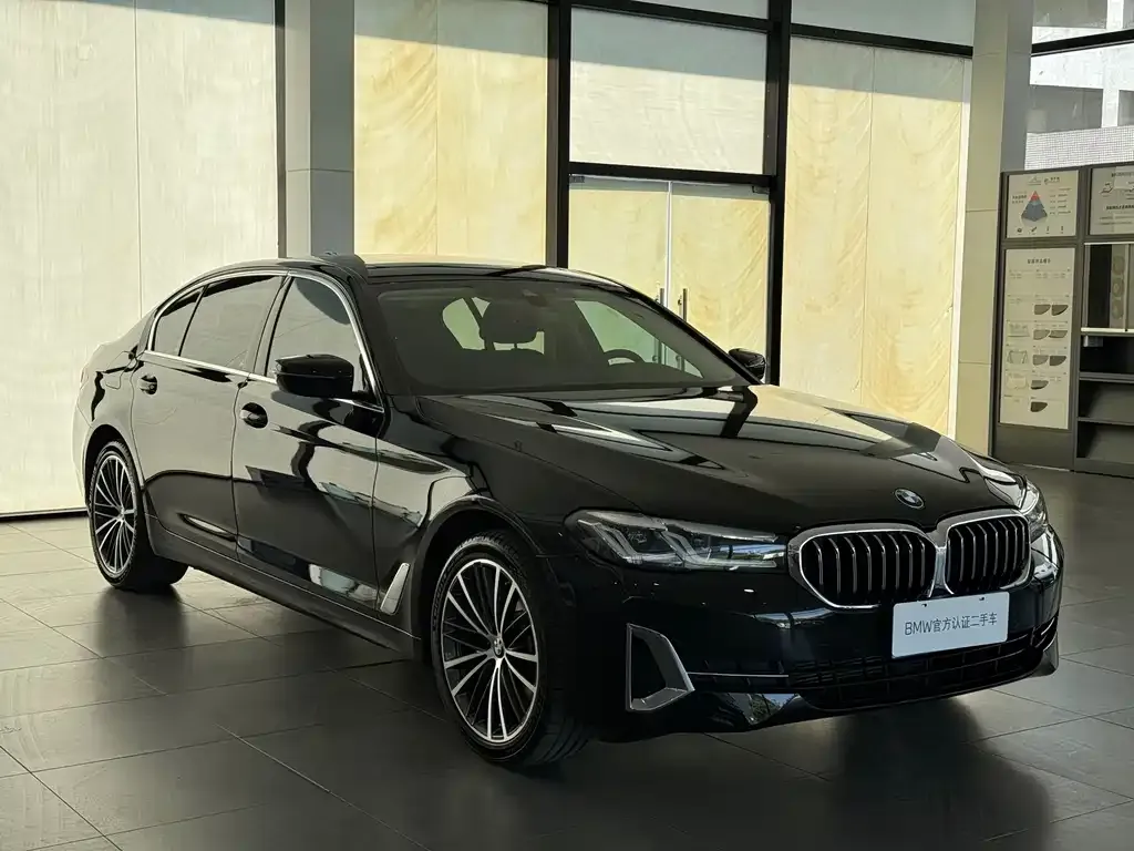 BMW 5 Series 2024 из CN, фото 7