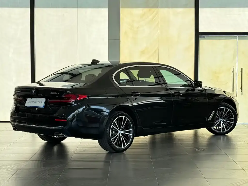 BMW 5 Series 2024 из CN, фото 8