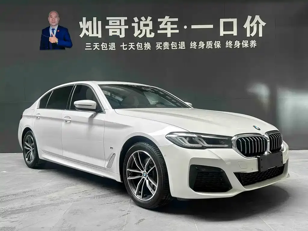 BMW 5 Series 2021 из CN, фото 9