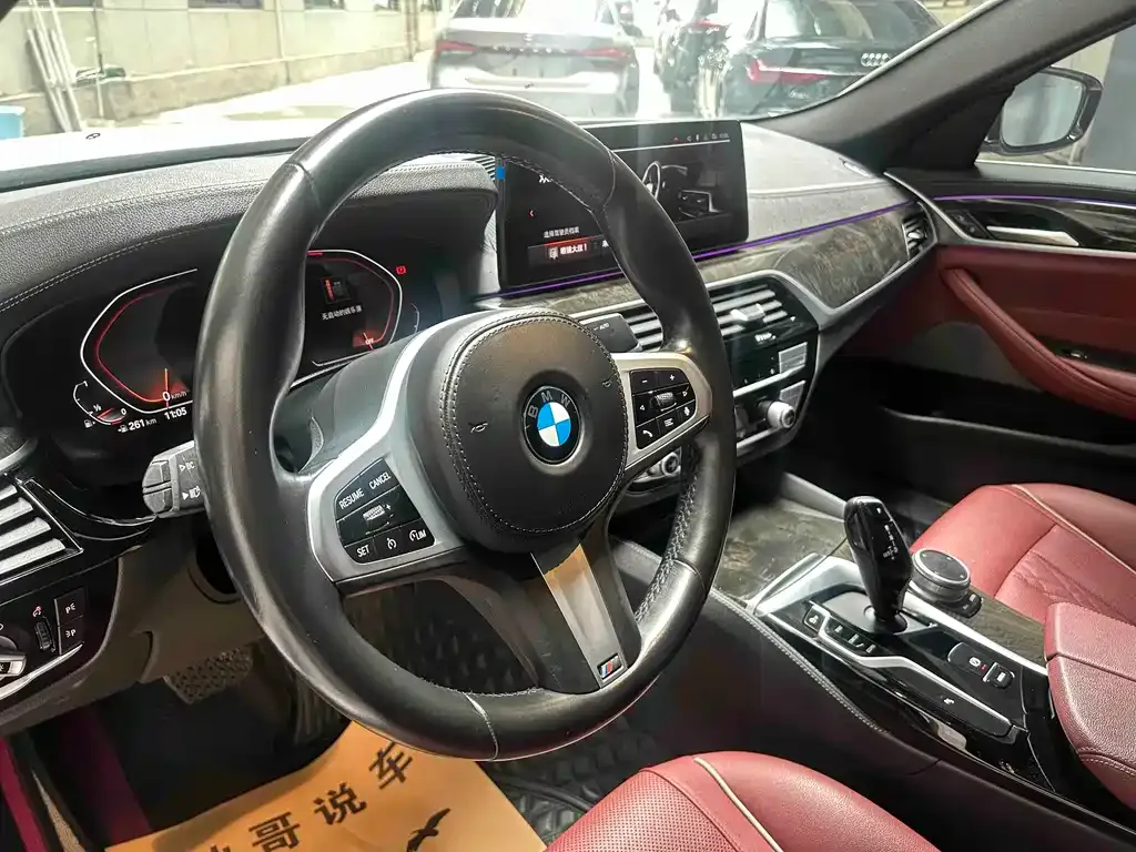 BMW 5 Series 2021 из CN, фото 10