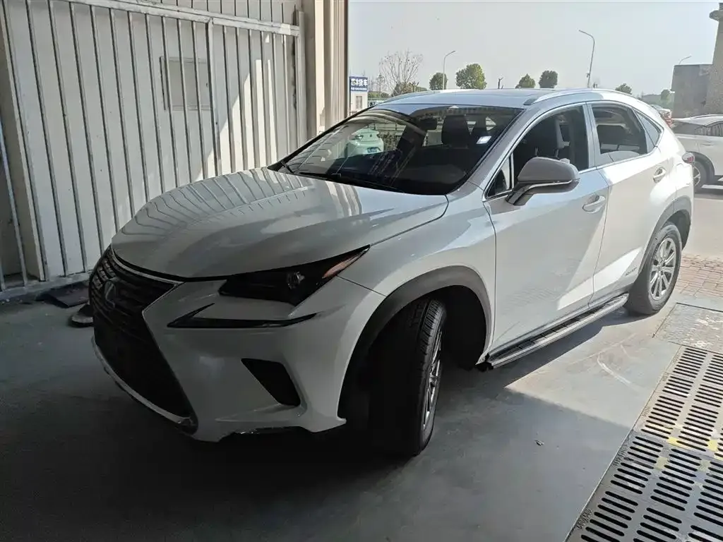 Lexus NX 2021 из CN, фото 1