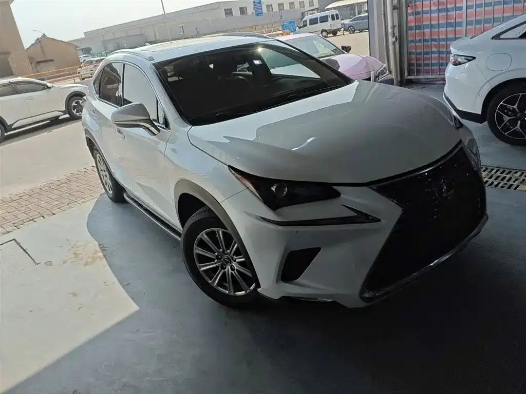 Lexus NX 2021 из CN, фото 6