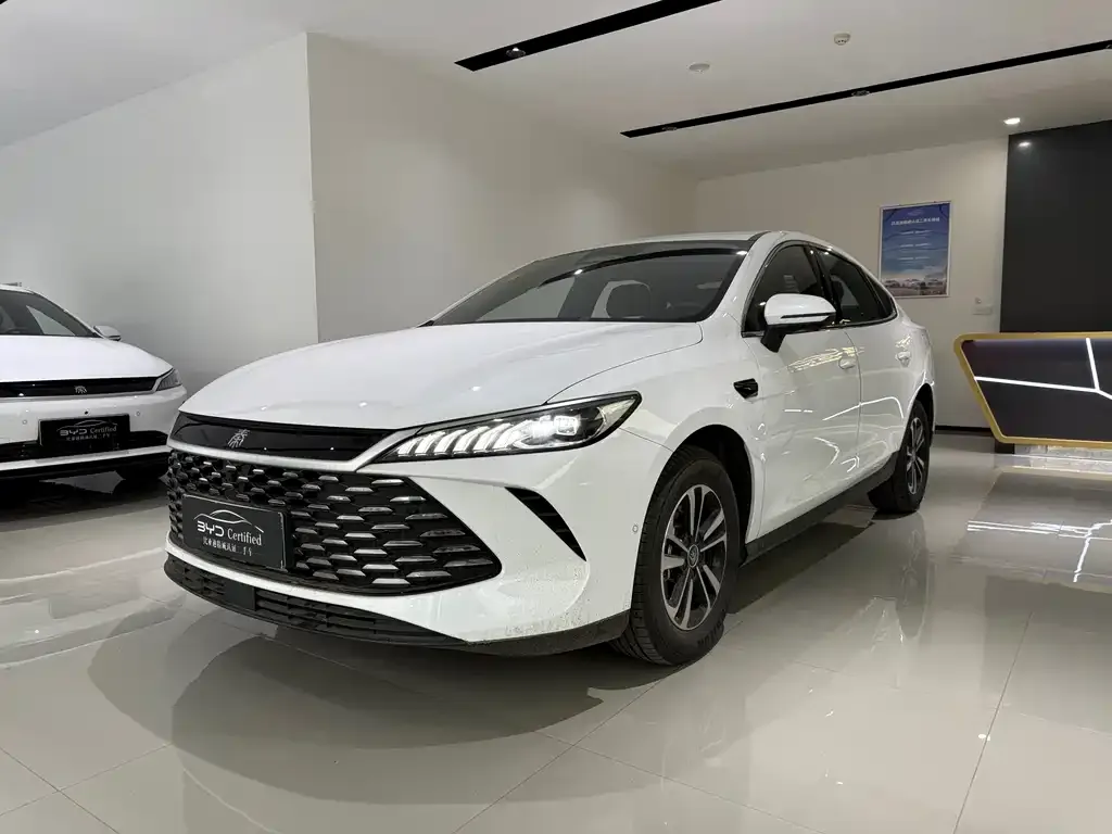 BYD Qin PLUS — фото 1