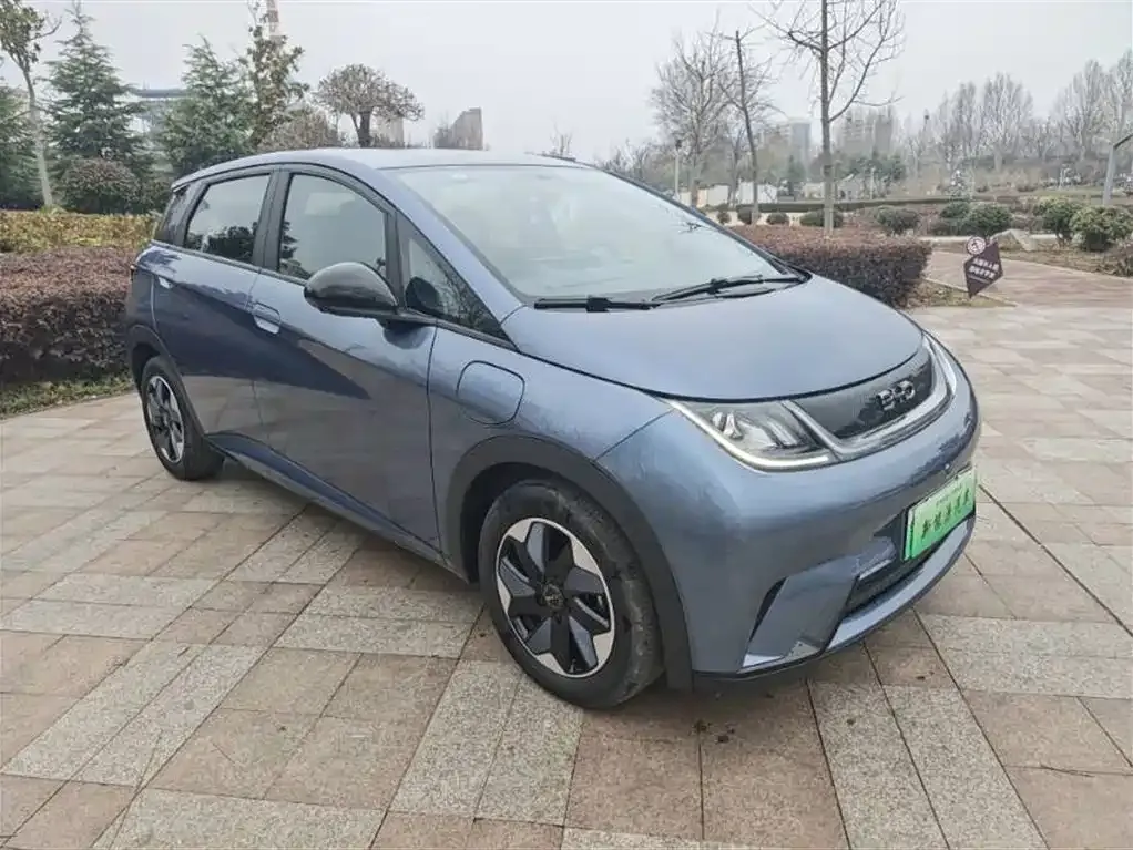 BYD Dolphin 2025 из CN, фото 1