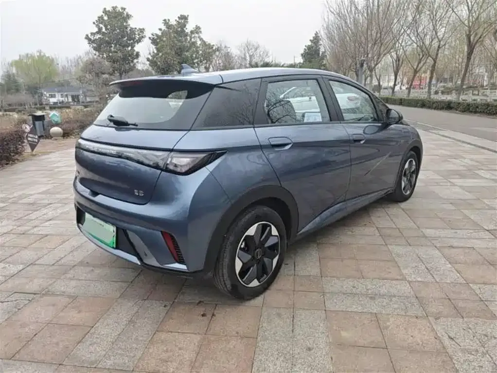 BYD Dolphin 2025 из CN, фото 2