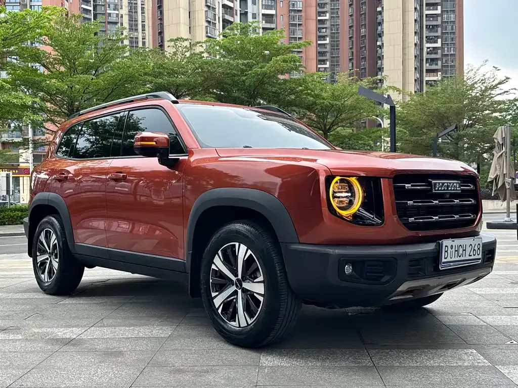 Haval Big Dog 2021 из CN, фото 5
