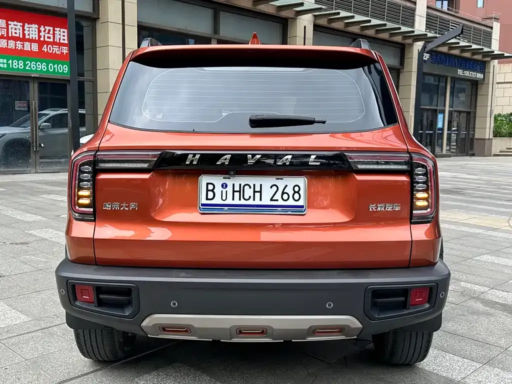 Haval Big Dog 2021 из CN, фото 2