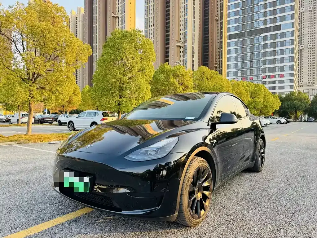 Tesla Model Y — фото 1