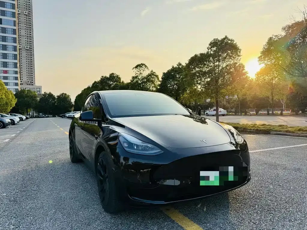 Tesla Model Y — фото 9