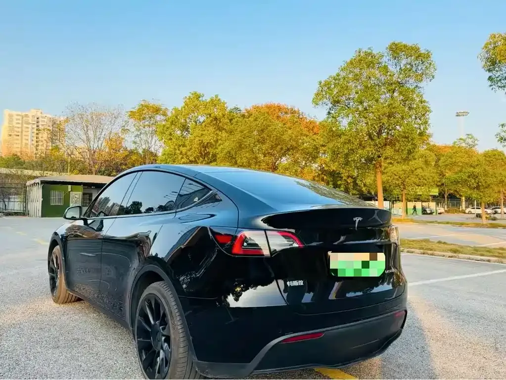 Tesla Model Y — фото 5