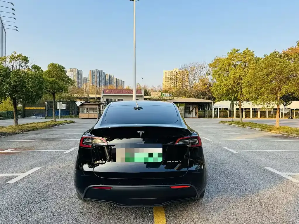 Tesla Model Y — фото 8
