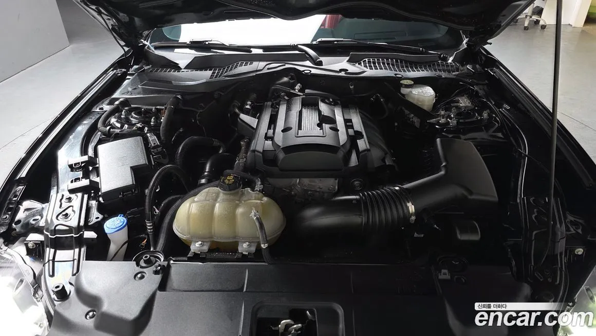 Ford Mustang 2022 из KR, фото 5