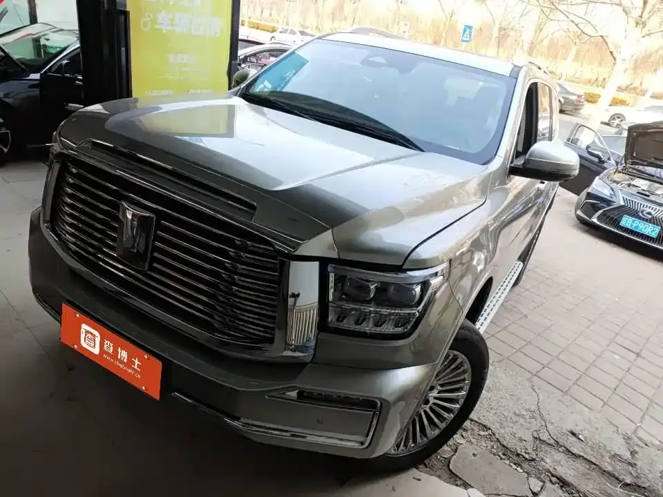 Tank 500 New Energy 2025 из CN, фото 6