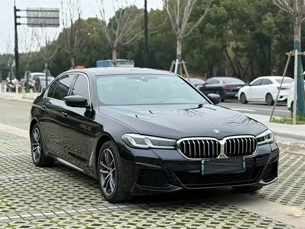 BMW 5 Series New Energy — фото 10