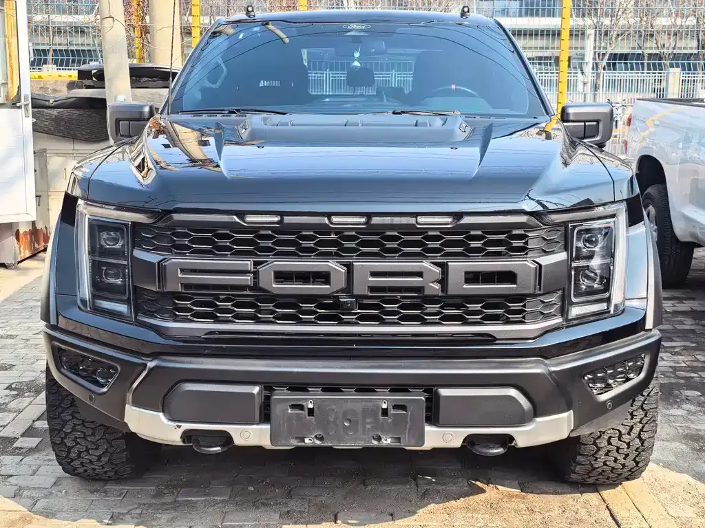 Ford F-150 Raptor 2023 из CN, фото 10