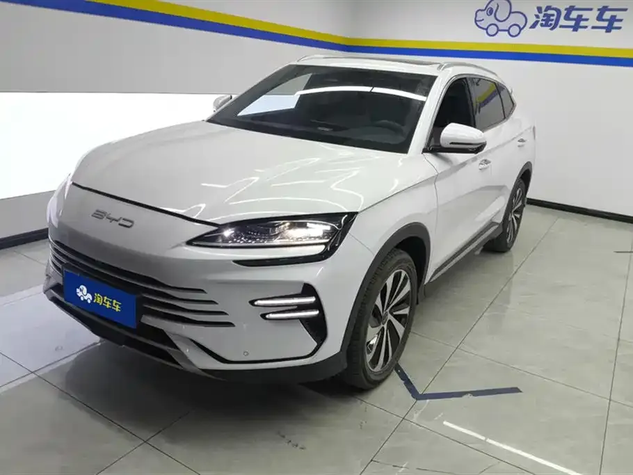 BYD PLUS New Energy — фото 1