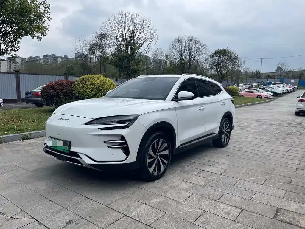 BYD PLUS New Energy — фото 1
