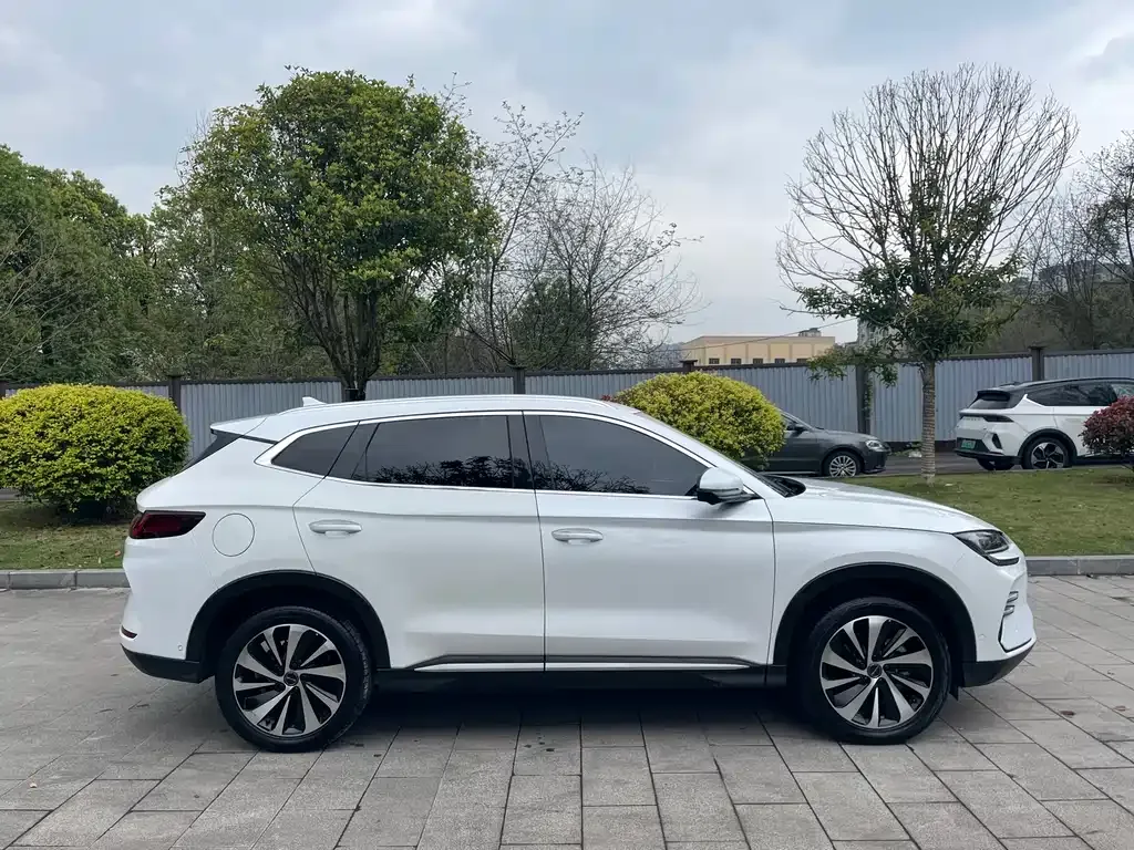 BYD PLUS New Energy — фото 8