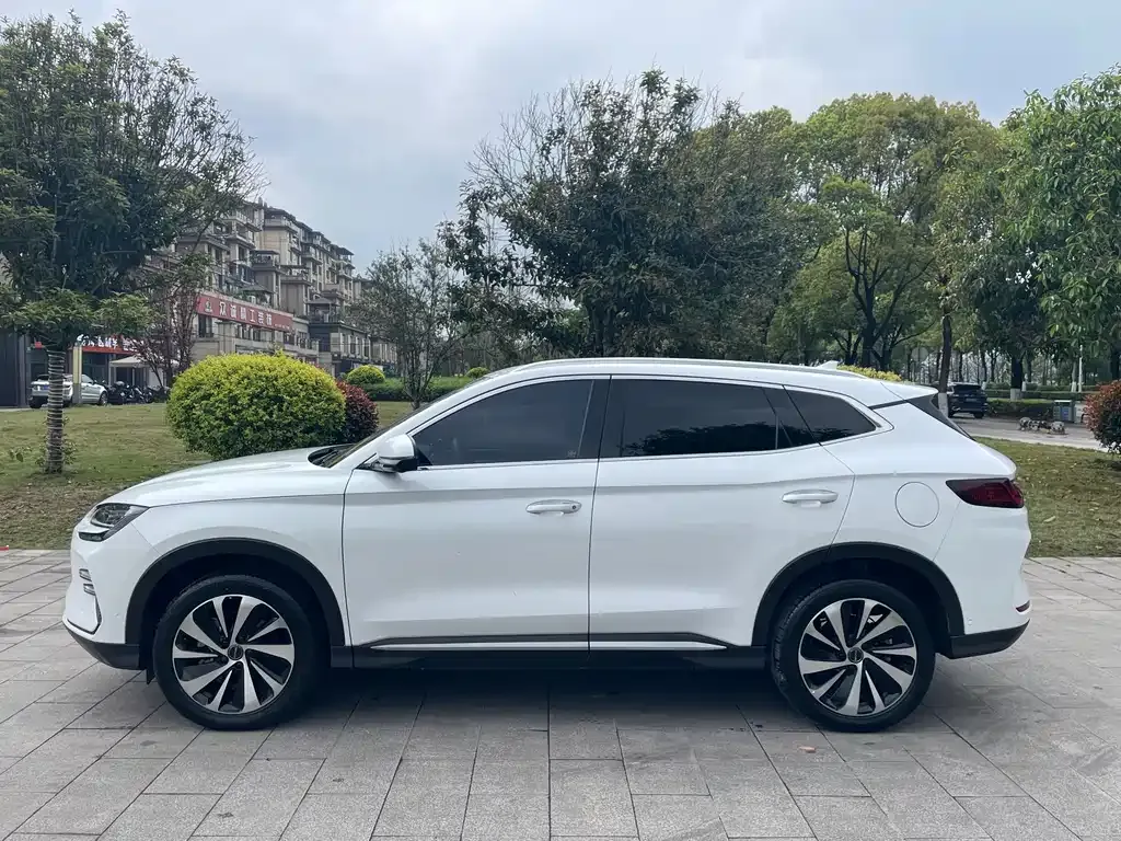 BYD PLUS New Energy — фото 6