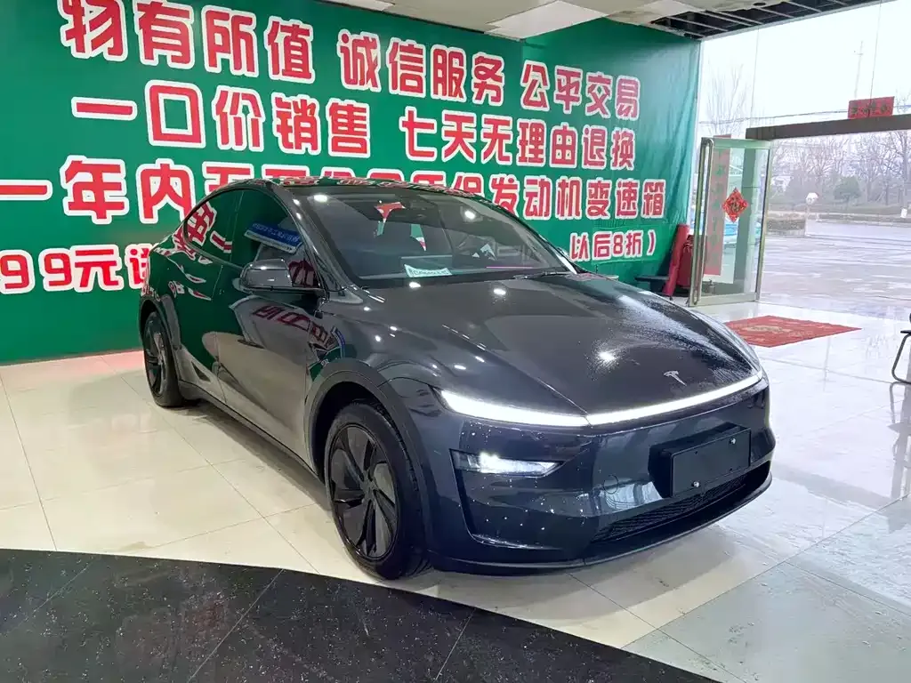 Tesla Model Y — фото 7