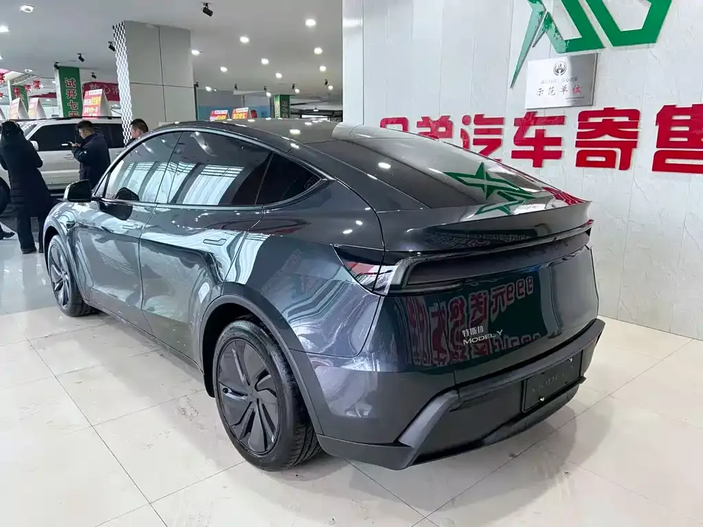 Tesla Model Y — фото 4