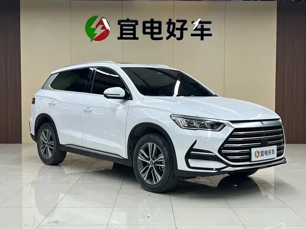 BYD Pro New Energy — фото 7