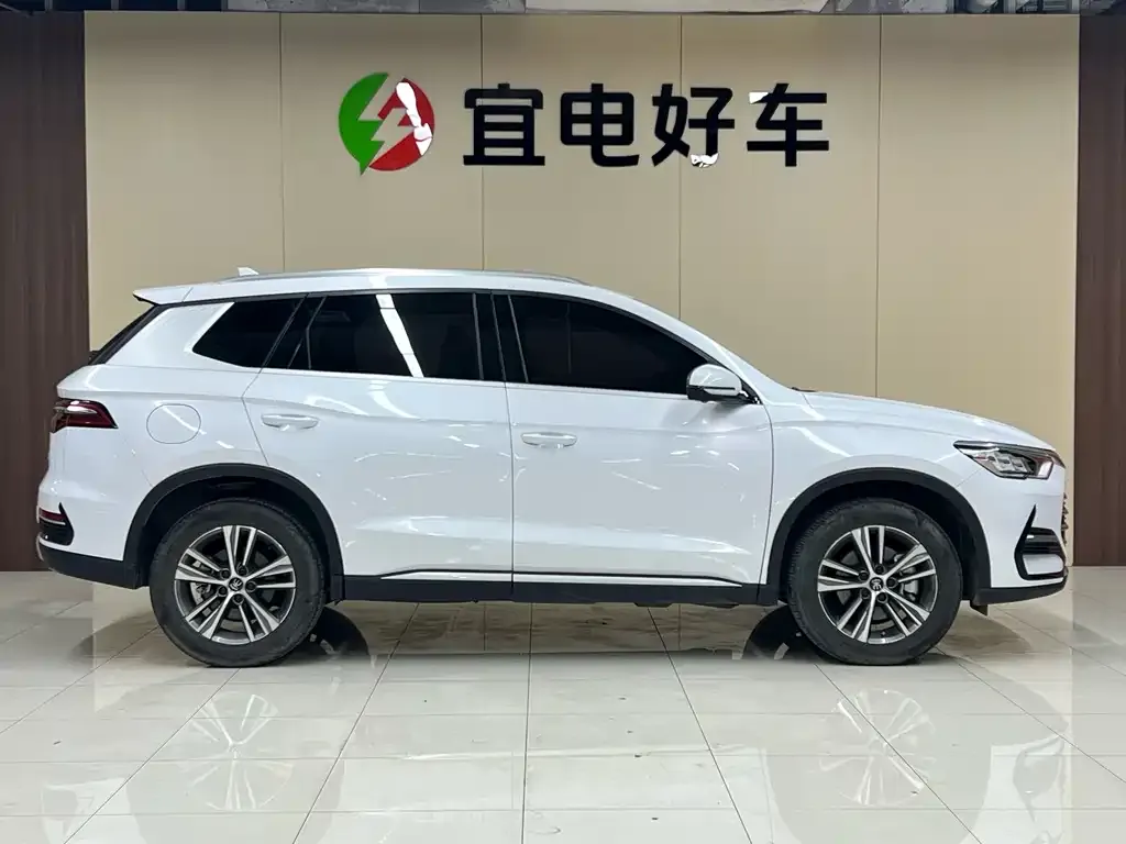 BYD Pro New Energy — фото 2