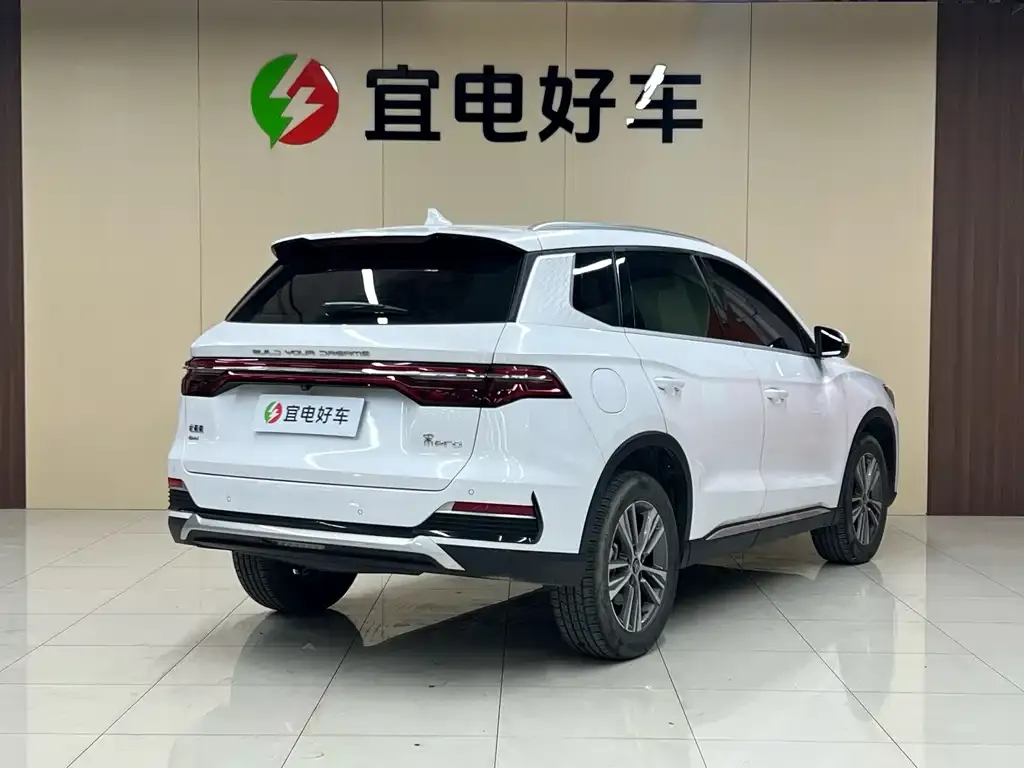BYD Pro New Energy — фото 9