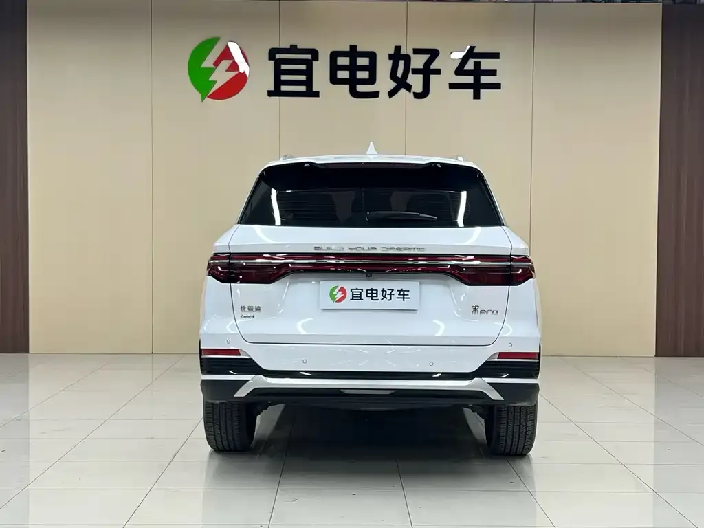 BYD Pro New Energy — фото 3